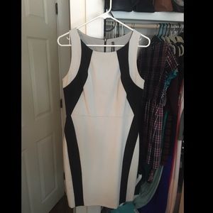 Marc New York Dress Size 8